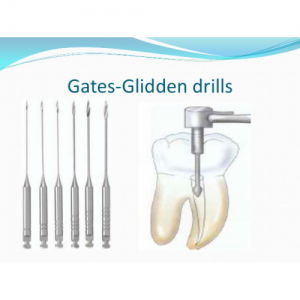 ENDODONTIC - INSTRUMENTS GATES